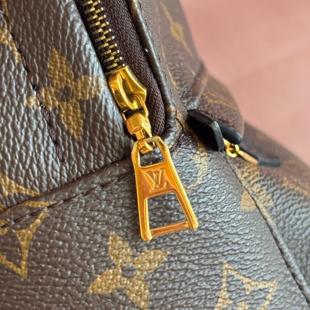 Louis Vuitton Palm Springs Mini - Picture 7 of 13